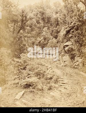 Tararu Creek, Themse. Aus dem Album: N.Z. Scenery, Burton Brothers Studio, Fotostudio, 1870s, Dunedin Stockfoto