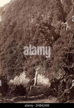 Otira Gorge, West Coast Road, Burton Brothers Studio, Fotostudio, Dunedin, Schwarzweiß-Fotografie Stockfoto