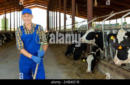 Bauer mit Pitchfork in den Händen im Cowhouse Stockfoto