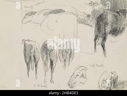 Blatt 13 Recto aus einem Skizzenbuch mit 27 Blättern, Arbeitsblatt mit Schafen in Exloo., Ferdinand Oldewelt, c. 1904 - c. 1912 Stockfoto