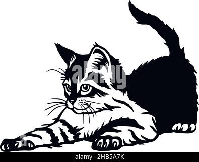 Katze, Peeking Kitten - fröhliche Kätzchen isoliert auf weiß - Vektor Stock Illustration Stock Vektor