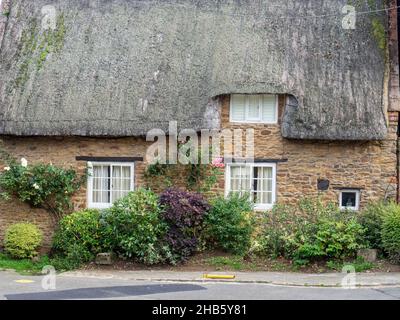 Fassade eines attraktiven Steinhauses mit Reetgedeckten im Winter im Dorf Milton Malsor, Northamptonshire, Großbritannien Stockfoto