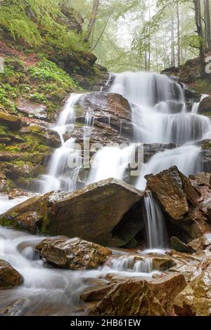 Im frühen Frühjahr trägt ein Wasserfall eines Bergflusses sein Wasser in einem kühlen und frischen Bach entlang eines felsigen Waldhangs inmitten grüner Blätter. Stockfoto