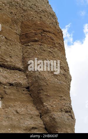 Mehrere Fossilien stecken in den Felsen Stockfoto