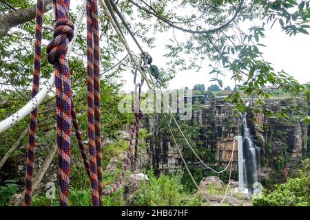 Seilrutsche am Fuße der Graskop Schlucht, Südafrika Stockfoto