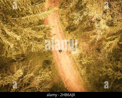 Draufsicht Frau auf einem Spaziergang mit nordischen Stöcken im Wald, umgeben von Bäumen. Textur und Natur Wohlbefinden Konzept Hintergrund Stockfoto