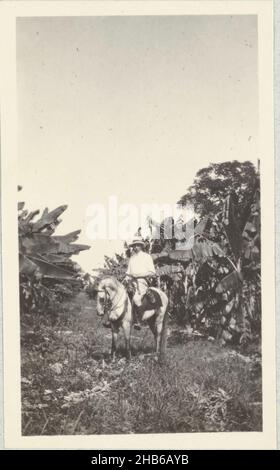 Bananenplantage in Honduras, Andries Boom auf einem Pferd in einer Bananenplantage in der Nähe von San Pedro Sula in Honduras, August 1912. Teil des Fotoalbums der Familie Boom-Gonggrijp in Suriname und Curaçao., Andries Augustus Boom, anonym, Honduras, Aug-1912, Fotografischer Träger, Höhe 111 mm × Breite 67 mm Stockfoto