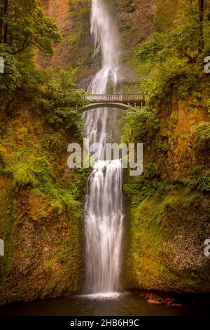 Multnomah Falls ist ein Wasserfall am Multnomah Creek in der Columbia River Gorge, Oregon Stockfoto