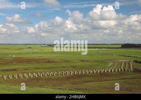 Reste der Drachenzähne, die im Zweiten Weltkrieg verwendet wurden, Panzerabwehrhindernis an der Atlantikmauer, Niederlande, Nordholländer, Camperduin Stockfoto