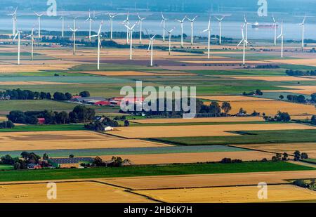 Windpark im landwirtschaftlichen Elbmarsch, Luftaufnahme, Deutschland, Schleswig-Holstein, Dithmarschen Stockfoto