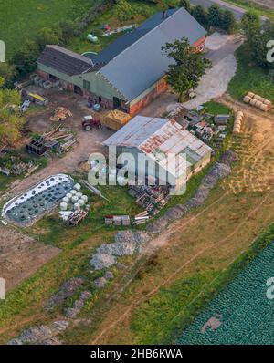 Kleines Gehöft mit Pferdezucht, Luftbild, Deutschland, Schleswig-Holstein Stockfoto