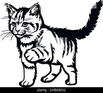 Katze, Peeking Kitten - fröhliche Kätzchen isoliert auf weiß - Vektor Stock Illustration Stock Vektor
