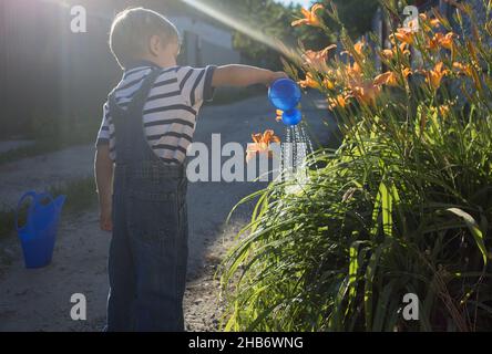 Kleiner junger Gärtner in Denim-Overalls, der an einem hellen sonnigen Sommertag ein blühendes Blumenbeet im Garten wässert Stockfoto