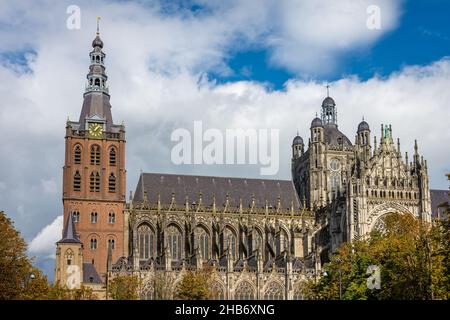 Kathedrale Basilika St. Johannes der Evangelist in der niederländischen Stadt Den Bosch, Provinz Nordbrabant Stockfoto