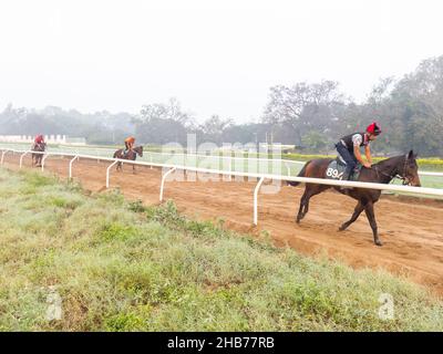 Jockeys reiten am frühen Morgen auf der Rennstrecke auf der Pune-Rennstrecke in Indien am 7. Dezember 2021 auf Rennpferden Stockfoto