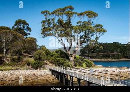 Isle of the Dead ist der Friedhof der historischen Stätte Port Arthur in Tasmanien. Stockfoto