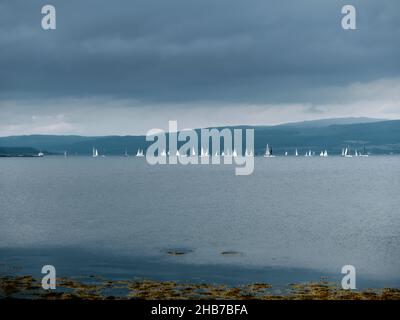 Eine Segelyacht-Regatta in Scallastle Bay, Sound of Mull, Inner Hebrides, Argyll & Bute Scotland UK - Seascape Segelboote Yachten nur Großsegel Stockfoto