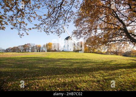 Krefeld-Traar - Ansicht von Egelsberg-Windmill mit Herbst farbige Bäume, Nordrhein Westfalen, Deutschland, 29.11.2019 Stockfoto