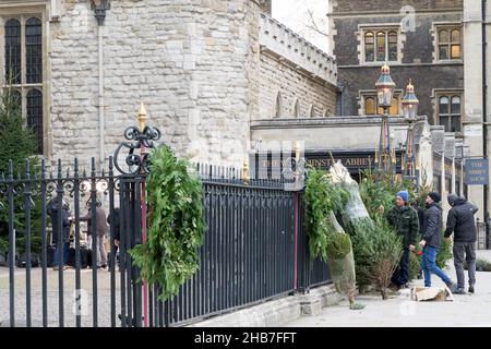 Weihnachtsbäume zum Verkauf am Zaun in Westminster Abbey London England Stockfoto