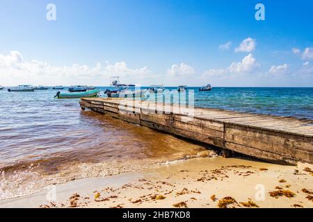 Playa del Carmen Mexiko 05. August 2021 Bootsjachten-Anlegestelle und viele sehr ekelhafte rote Algen Sargazo am tropischen mexikanischen Strand in Playa del Car Stockfoto