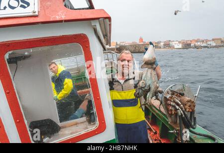 Octopus-Fischer hält einen Oktopus an Bord seines eigenen Bootes, Galicien, Spanien Stockfoto