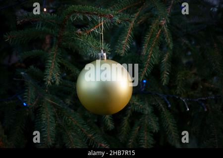 Die grünen Zweige des Weihnachtsbaums mit einer goldenen bis einer silbermatten, glänzenden Kugel in einer Nahaufnahme, die als Dekor in Fichte hängt. Weihnachtskarte Bild samp Stockfoto