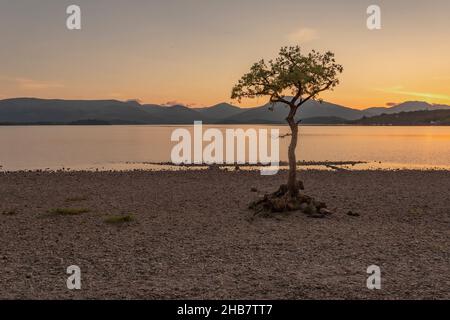 Sonnenuntergang am Loch Lomond, Balmaha, Schottland. Stockfoto