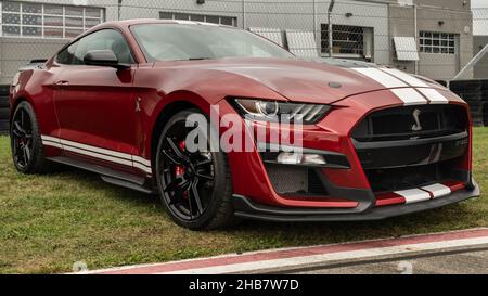 PONTIAC, MI/USA - 22. SEPTEMBER 2021: Ein Ford Shelby Mustang GT 500 aus dem Jahr 2021 bei Motor Bella, auf der M1 Concourse, in der Nähe von Detroit, Michigan. Stockfoto