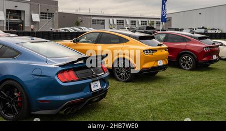 PONTIAC, MI/USA - 22. SEPTEMBER 2021: A 2021 Three Ford Mustangs (Shelby, Mach-E) bei Motor Bella, auf der M1 Concourse, in der Nähe von Detroit, Michigan. Stockfoto