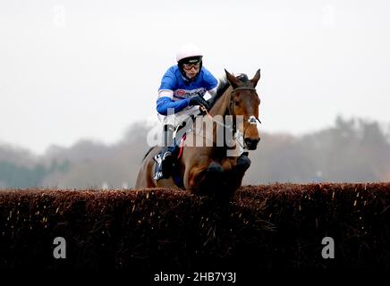 PIC D'Orhy unter Jockey Harry Cobden macht am ersten Tag des Howden Christmas Racing Weekends auf der Ascot Racecourse, Bekshire, einen Sprung auf dem Weg zum Sieg der Howden Noel Novices' Chase (Klasse 2). Bilddatum: Freitag, 17. Dezember 2021. Siehe PA Story RACING Ascot. Bildnachweis sollte lauten: Steven Paston/PA Wire. EINSCHRÄNKUNGEN: Die Nutzung unterliegt Einschränkungen. Nur redaktionelle Verwendung, keine kommerzielle Nutzung ohne vorherige Zustimmung des Rechteinhabers. Stockfoto