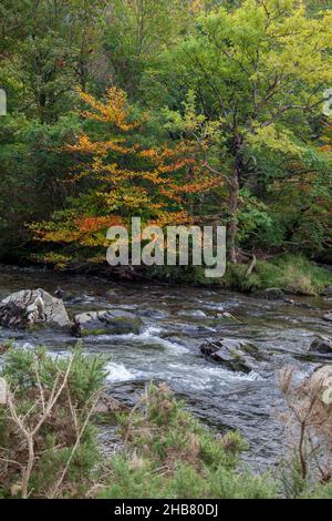 Blick entlang des Flusses Glaslyn im Herbst Stockfoto