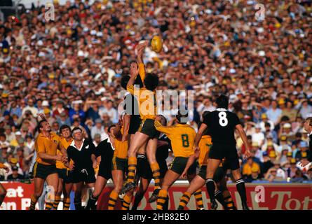 Rugby Union Football. Neuseeland Alle Schwarzen gegen die australischen Wallabies. Stockfoto