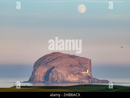 North Berwick, East Lothian, Schottland, Großbritannien, 17th. Dezember 2021. UK Wetter: Vollmond steigt über Bass Rock auf. Der Dezember-Vollmond wird als „Kalte Mond“ bezeichnet. Heute stieg es kurz vor Sonnenuntergang Stockfoto