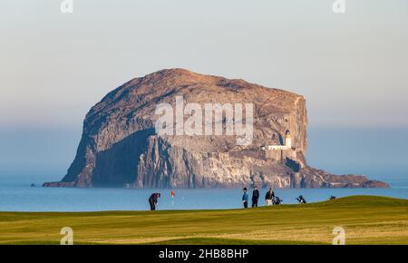 North Berwick, East Lothian, Schottland, Großbritannien, 17th. Dezember 2021. UK Wetter: Golfer genießen ein letztes Spiel an einem milden sonnigen Wintertag vor dem Bass Rock auf dem Glen Golfplatz Stockfoto