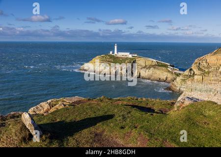 Der South Stack Lighthouse in der Nähe von Holyhead an der Küste von Holy Island, Isle of Anglesey, Nordwales Stockfoto