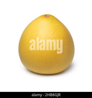 Einzelne gelbe Pomelo Nahaufnahme isoliert auf weißem Hintergrund Stockfoto