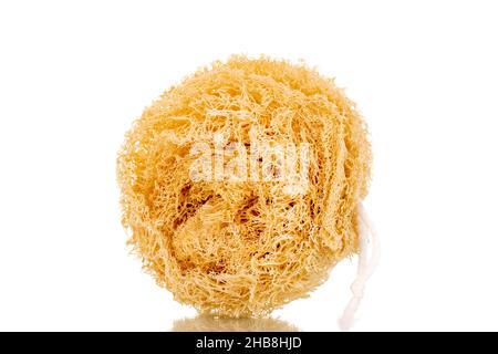 Ein Duschschwamm aus Loofa, Nahaufnahme, isoliert auf Weiß. Stockfoto