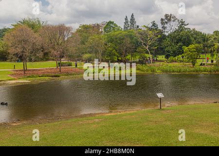 SINGAPUR, SINGAPUR - 11. MÄRZ 2018: Teich in den Botanischen Gärten von Singapur. Stockfoto