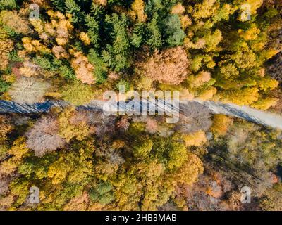 Luftaufnahme der Straße im Herbstwald. Herbstlandschaft mit Straße, roten, gelben und grünen Bäumen. Autos, die auf der Straße vorbeifahren. Hochwertige Fotos Stockfoto