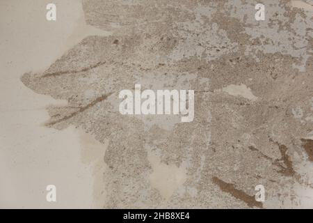 Schäbiger Betonhintergrund. Vintage alten Hintergrund. Graue, strukturierte, alte Wand Stockfoto