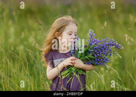 Niedliches, vierjähriges Mädchen in violettem Kleid schnüffelt Blumenstrauß aus Lupinen. Lustig lächelndes Kind mit langen Haaren auf dem Feld. Kinder spielen draußen. Concep Stockfoto