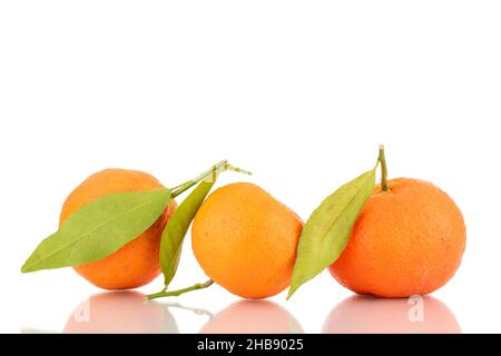 Drei leuchtend orange reife Mandarinen, Nahaufnahme, isoliert auf Weiß. Stockfoto