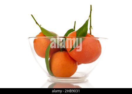 Mehrere leuchtend orange reife Mandarinen in einer Glasschale, Nahaufnahme, isoliert auf Weiß. Stockfoto