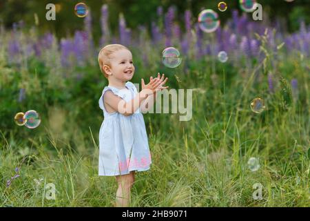 Nettes kleines Mädchen in blauem Kleid versuchen, Seifenblasen zu fangen. Lächelndes Baby, das sich unter dem Feld der Lupinenblumen amüsieren kann. Kinder spielen draußen. Konzept des glücklichen Chi Stockfoto