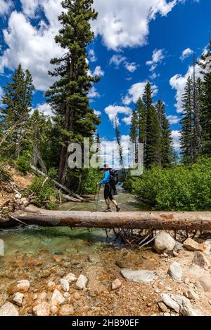 USA, Idaho, Stanley, Wanderfrau, die über einen gefallenen Baum über einen Bach in der Nähe des Sun Valley läuft Stockfoto
