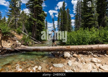 USA, Idaho, Stanley, Wanderfrau, die über einen gefallenen Baum über einen Bach in der Nähe des Sun Valley läuft Stockfoto