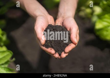 Der Bauer hält eine Handvoll schwarzer Erde. Stockfoto