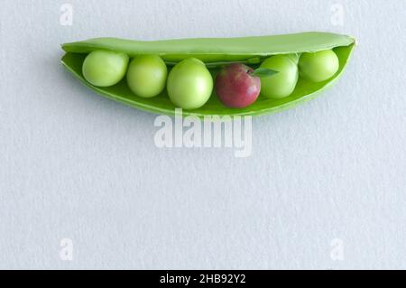 Erbsen in einer Hülse mit Miniaturapfel, ausgewogenes Ernährungskonzept Stockfoto