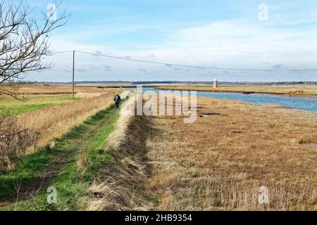 Mann, der auf einem Fußweg am Fluss Blyth in der Nähe von Walberswick, Suffolk, England, läuft. Stockfoto