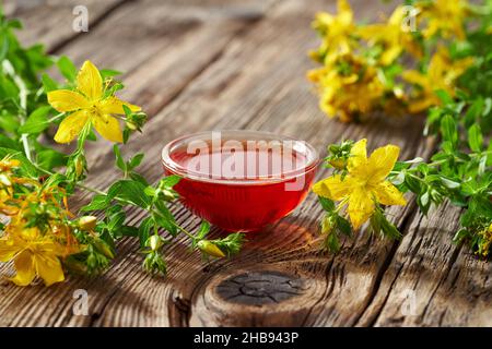 Rotes Öl aus Johanniskrautblüten mit frischer Hypericum-Pflanze Stockfoto